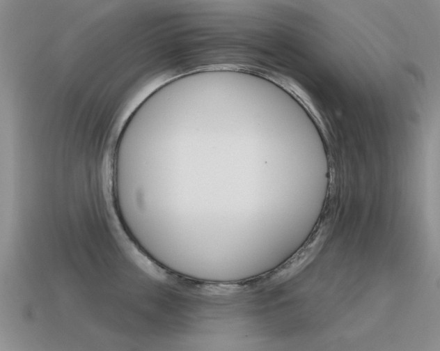 X0000115590859200911100929