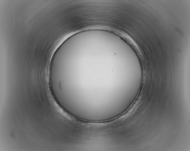 X0000115590860200911100929