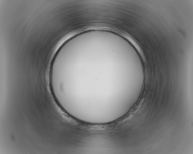 X0000115590861200911100929