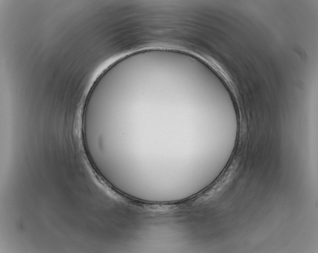 X0000115590862200911100929