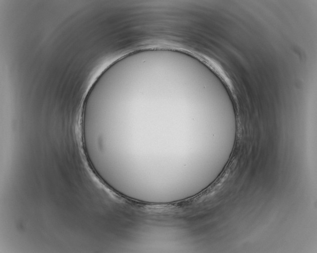 X0000115590863200911100930