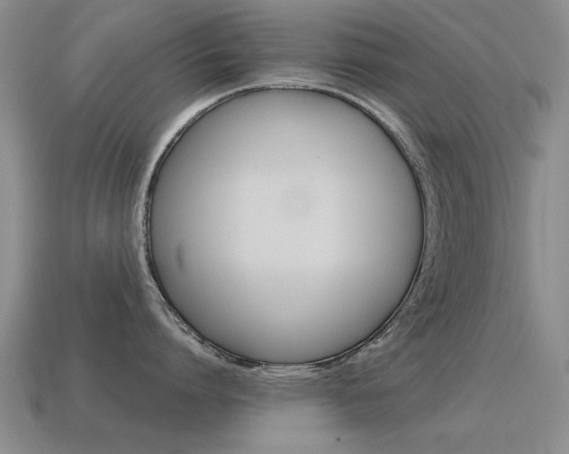 X0000115590864200911100930