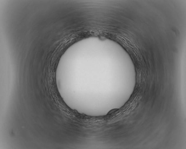 X0000115590865200911100929