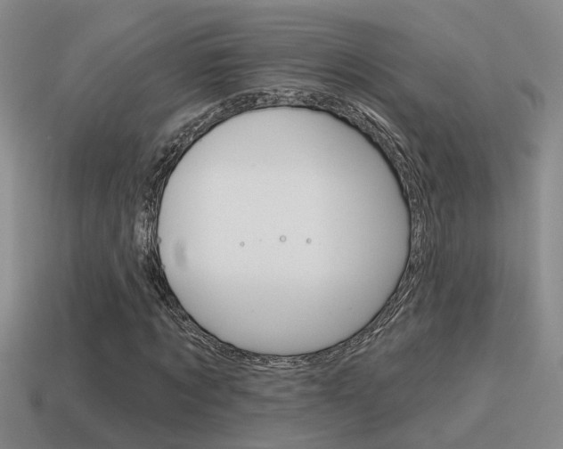 X0000115590869200911100929