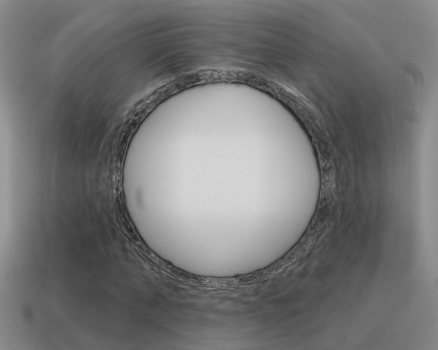 X0000115590870200911100929