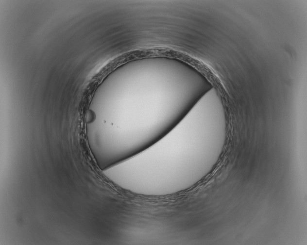 X0000115590871200911100929