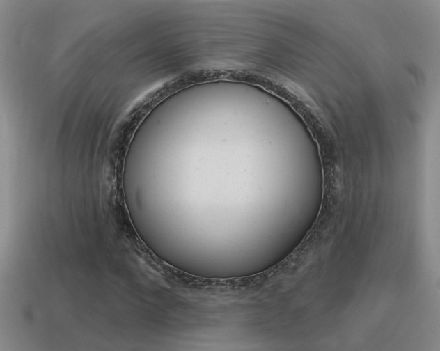 X0000115590872200911100929