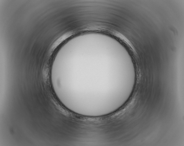 X0000115590874200911100929