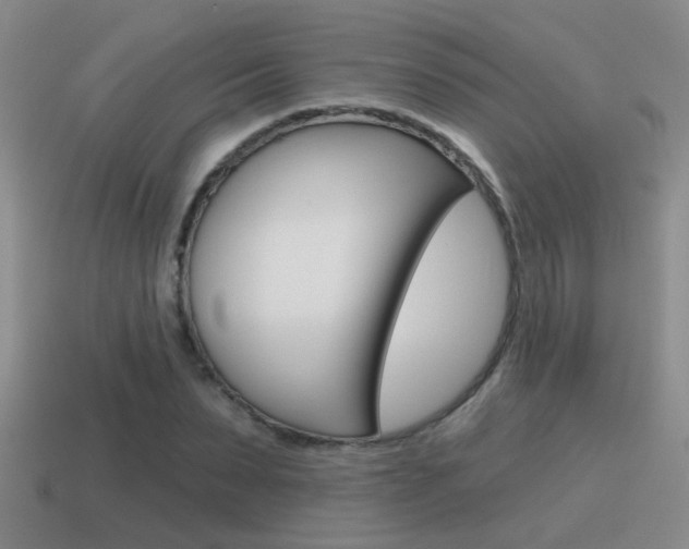 X0000115590879200911100929