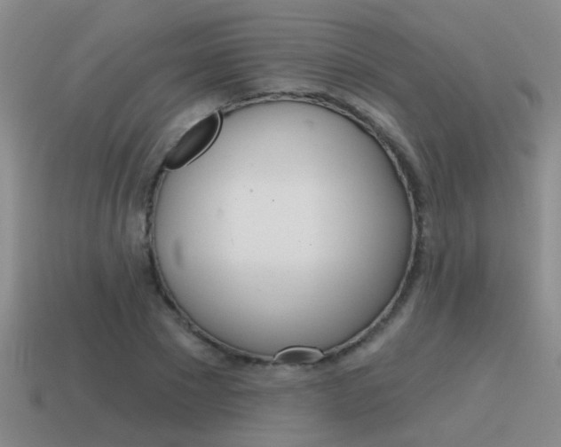 X0000115590881200911100929