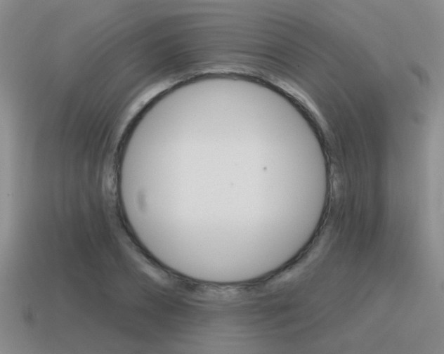 X0000115590882200911100929