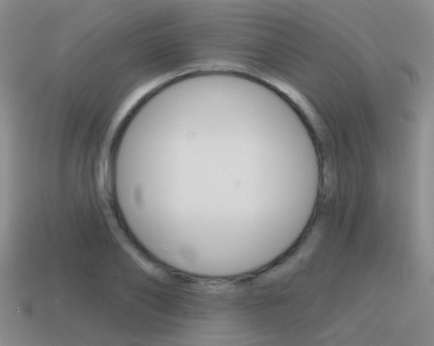 X0000115590886200911100929