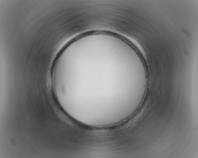 X0000115590887200911100929
