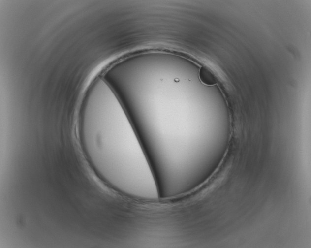 X0000115590888200911100929