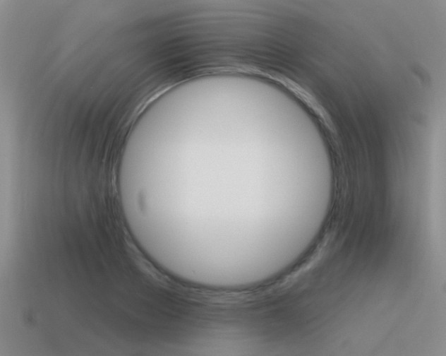 X0000115590889200911100929