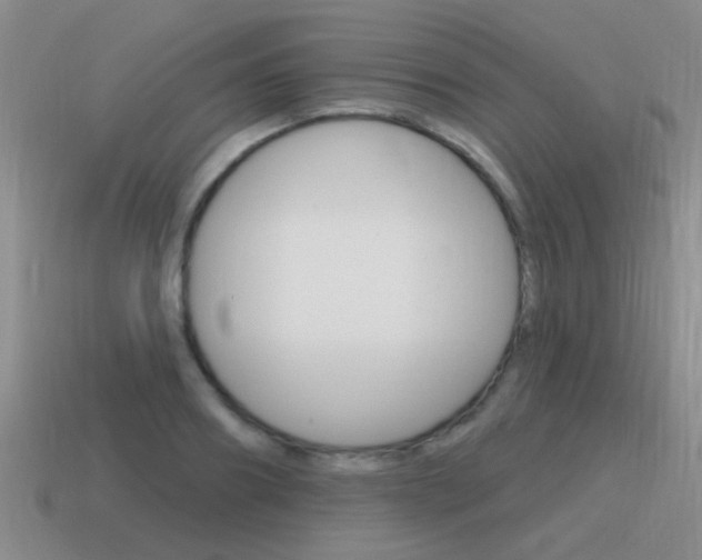 X0000115590890200911100929