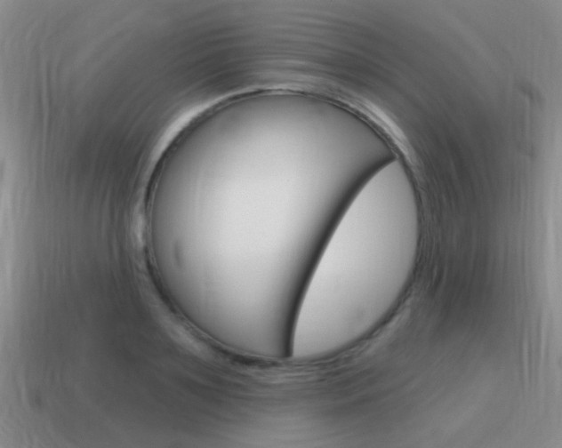 X0000115590891200911100929