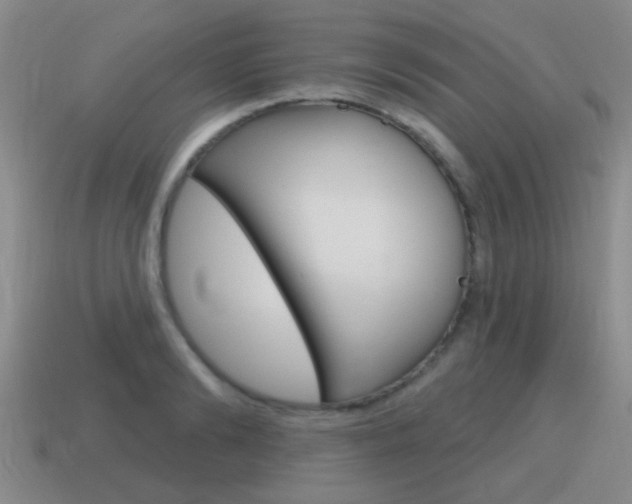 X0000115590894200911100929