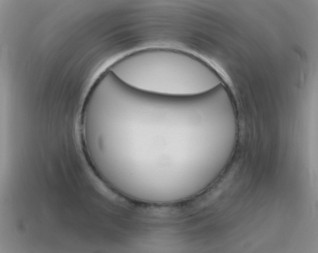 X0000115590895200911100929