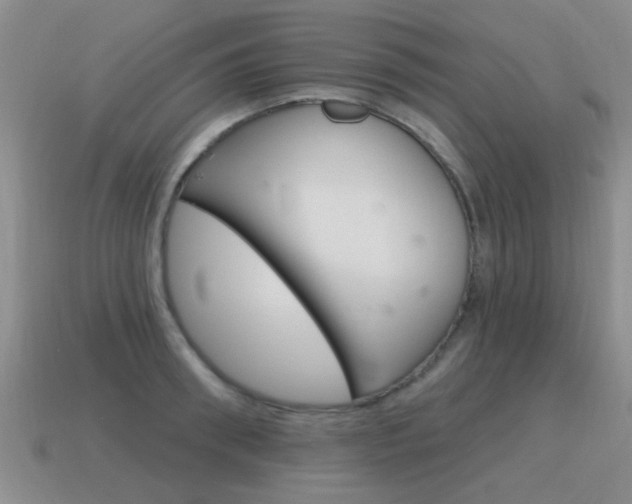 X0000115590898200911100928