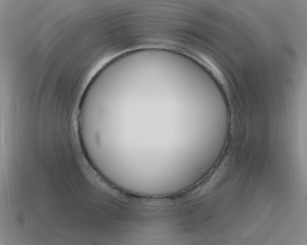 X0000115590899200911100928