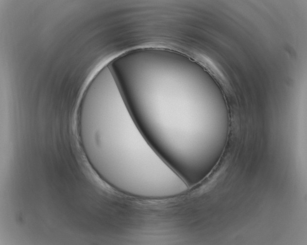 X0000115590900200911100928