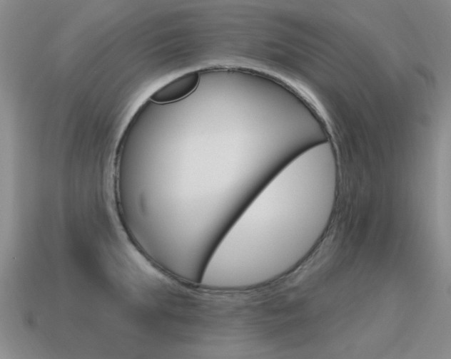 X0000115590903200911100928