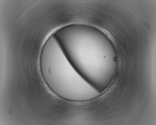 X0000115590904200911100928