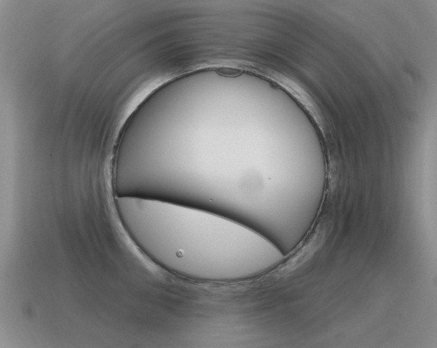 X0000115590906200911100928