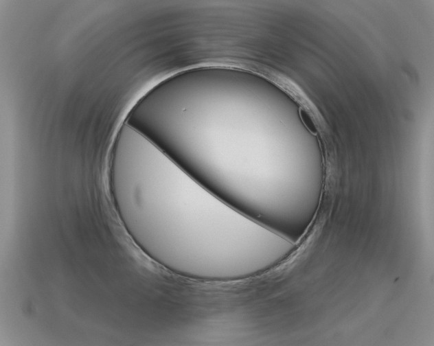 X0000115590908200911100928