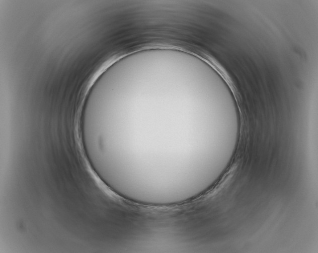 X0000115590909200911100928