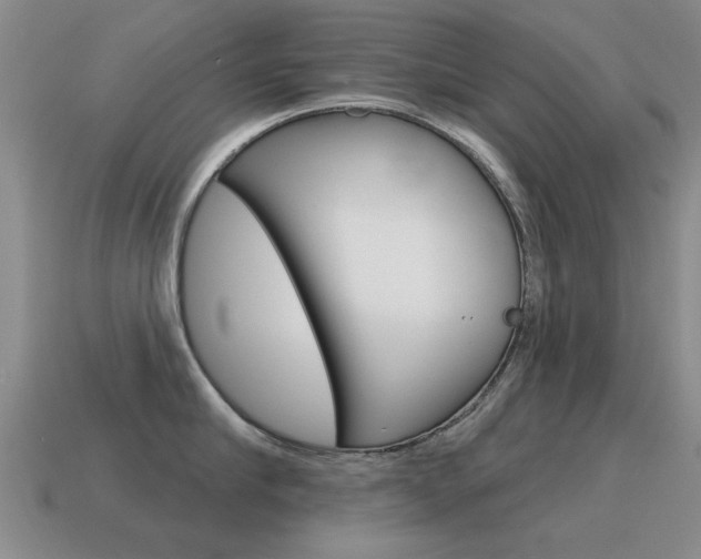 X0000115590910200911100928