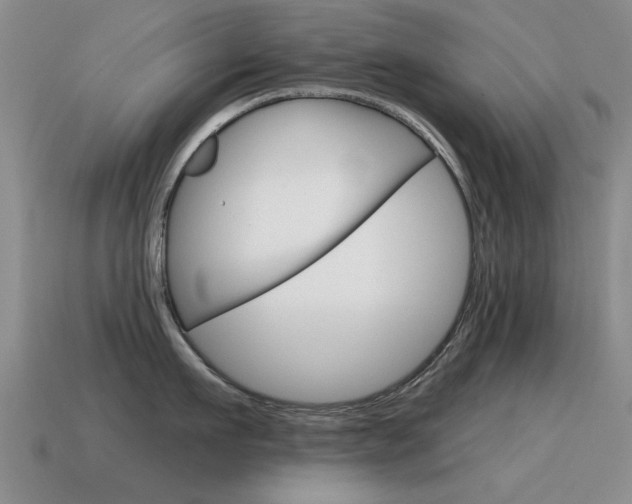 X0000115590911200911100928
