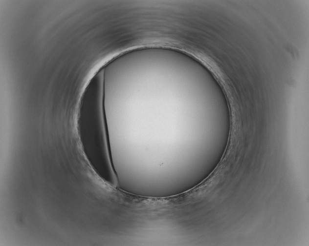 X0000115590912200911100928