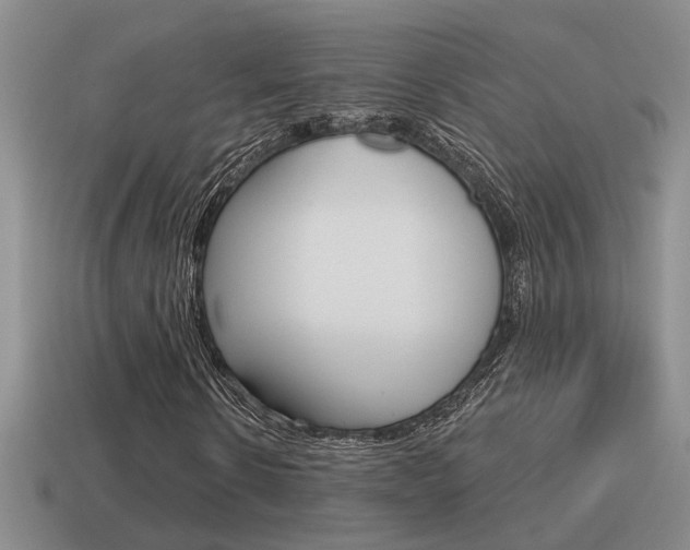 X0000115590914200911100928