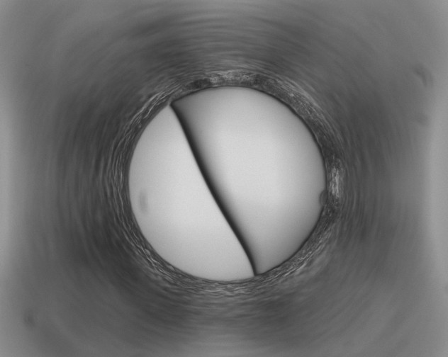 X0000115590915200911100928