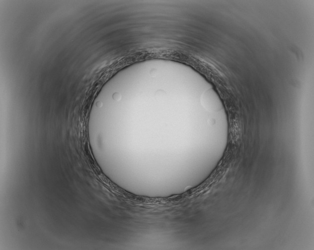X0000115590917200911100928