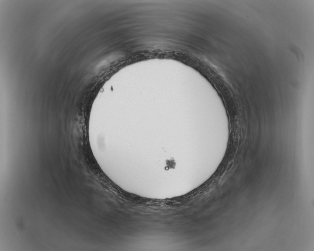 X0000115590918200911100928