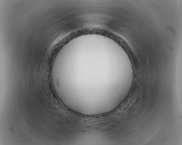 X0000115590919200911100928