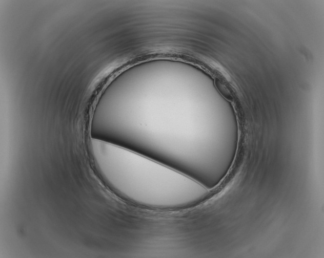 X0000115590922200911100928