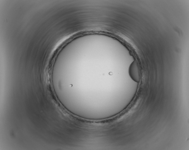X0000115590925200911100928