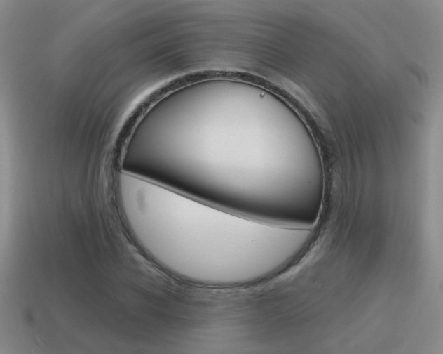 X0000115590926200911100928