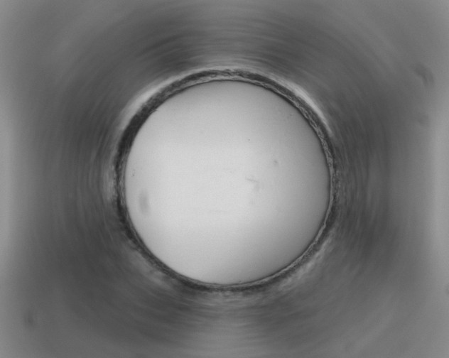 X0000115590927200911100928