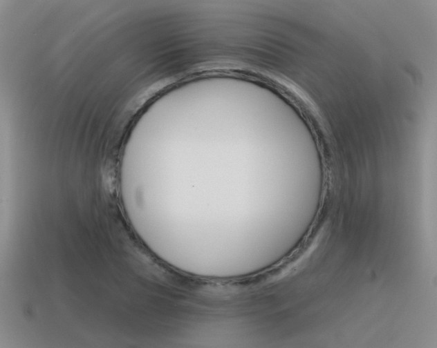 X0000115590929200911100928