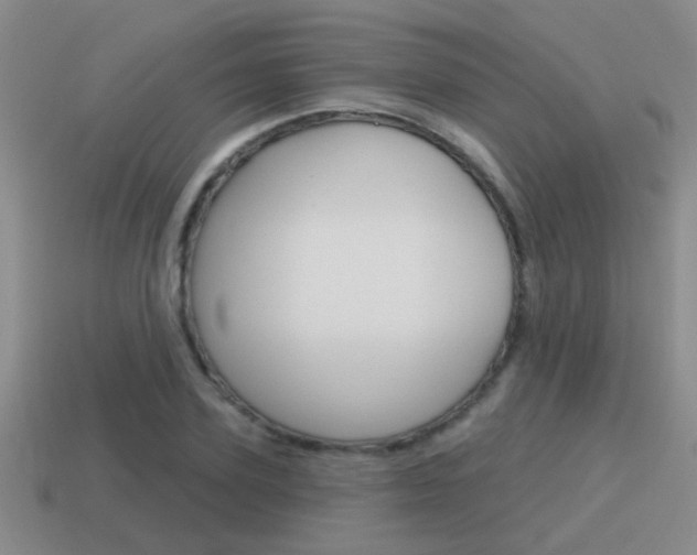 X0000115590931200911100928