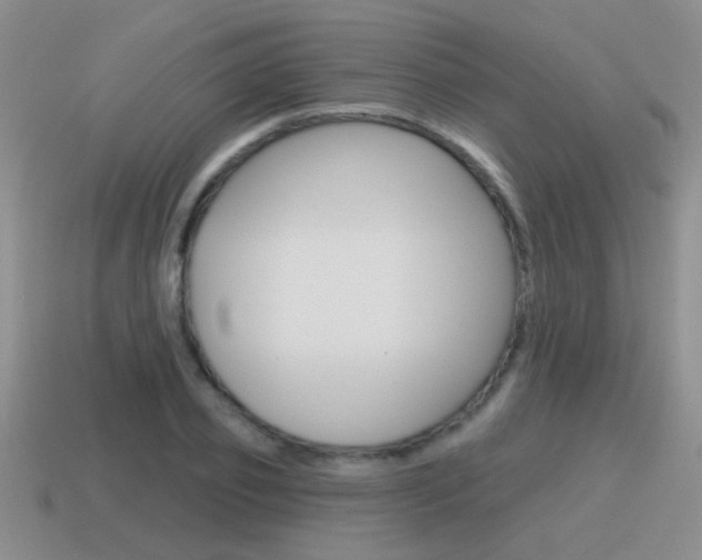 X0000115590933200911100928