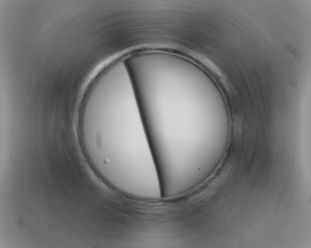 X0000115590935200911100928