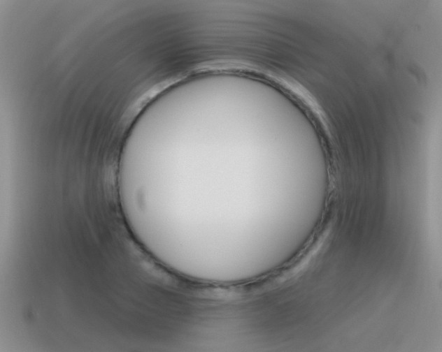 X0000115590937200911100928