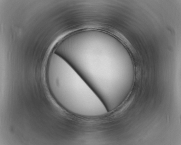 X0000115590939200911100928