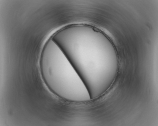 X0000115590943200911100928